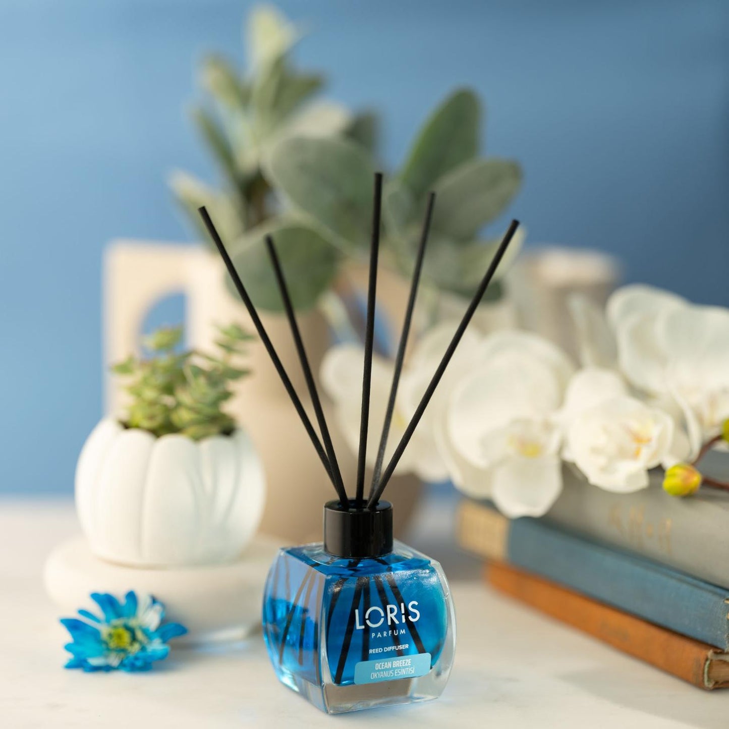 DIFFUSORE AMBIENTE LORIS OCEAN BREEZE 120 ML